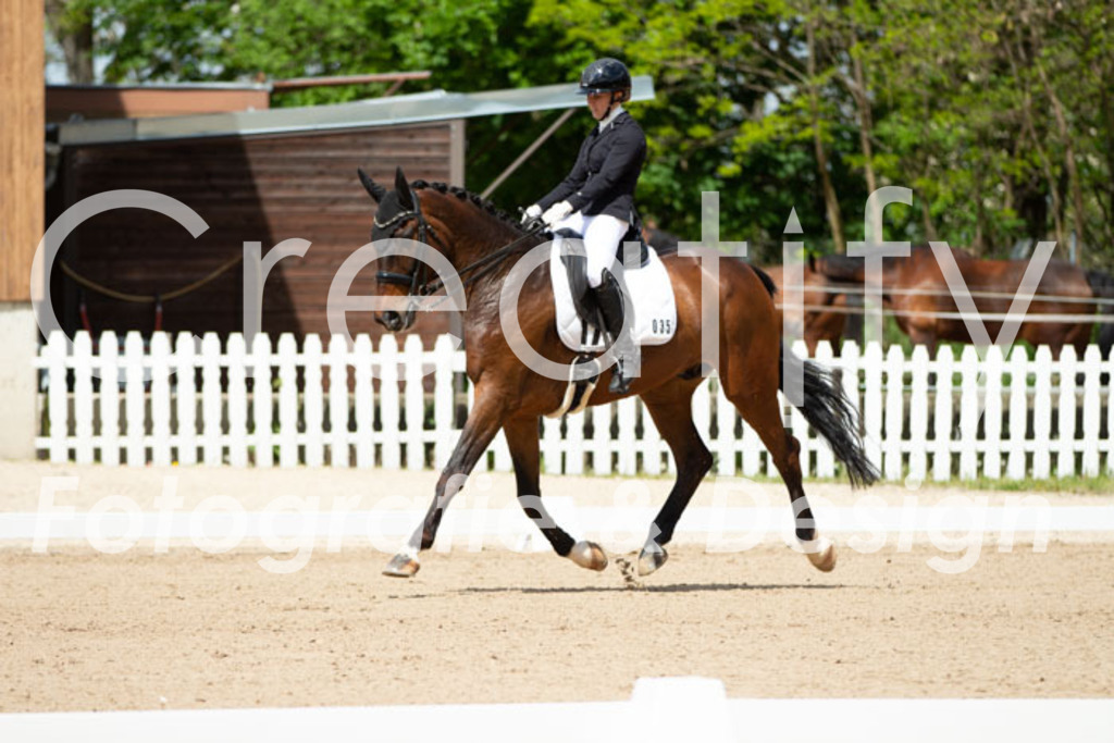 IMG_5781 | Creatify Fotografie