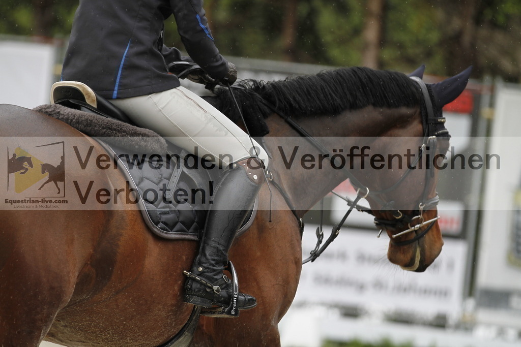 _MG_1056 | equestrian-live-com