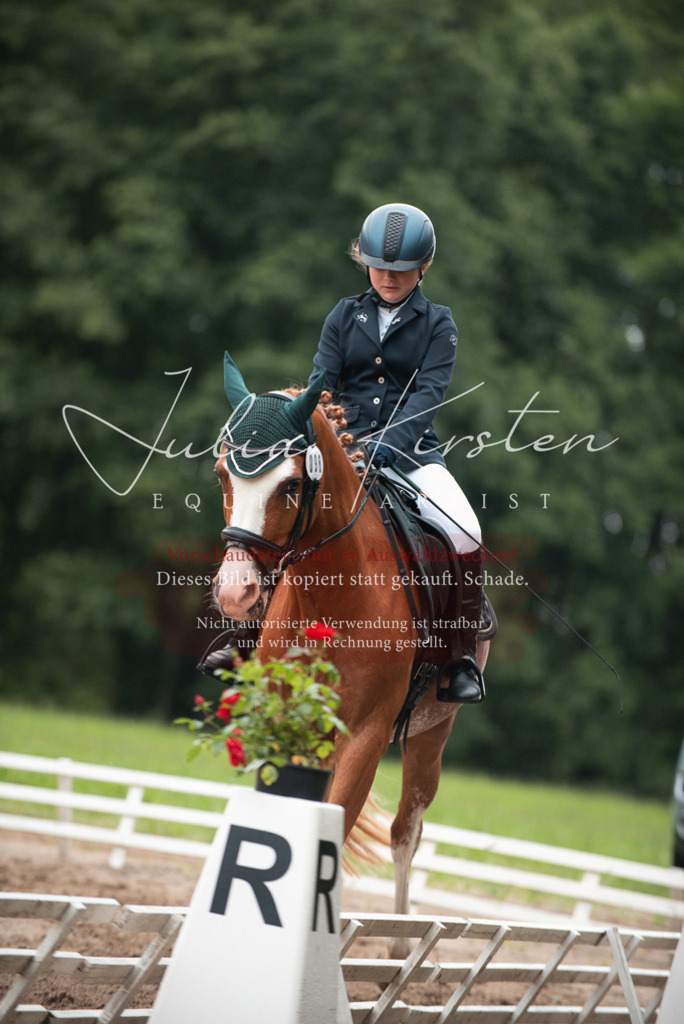 DSC_9622 | Pferde- und Turnierfotografie in Westsachsen. Pferdeportraits, Auftragszeichnungen und intuitive Kunst.