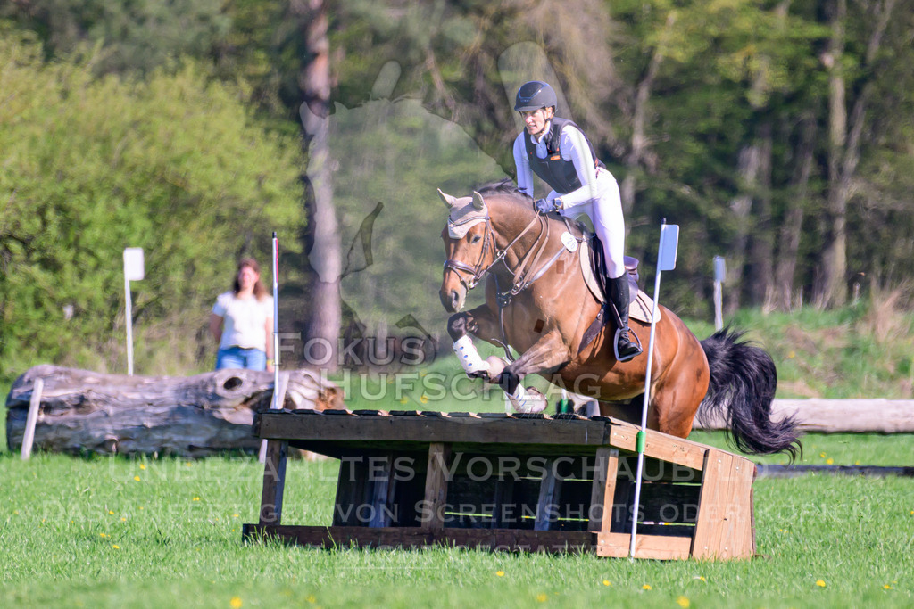 18042026-Gernlinden-03-0467 | Fokus Hufschlag Fotografie - Realisiert mit Pictrs.com