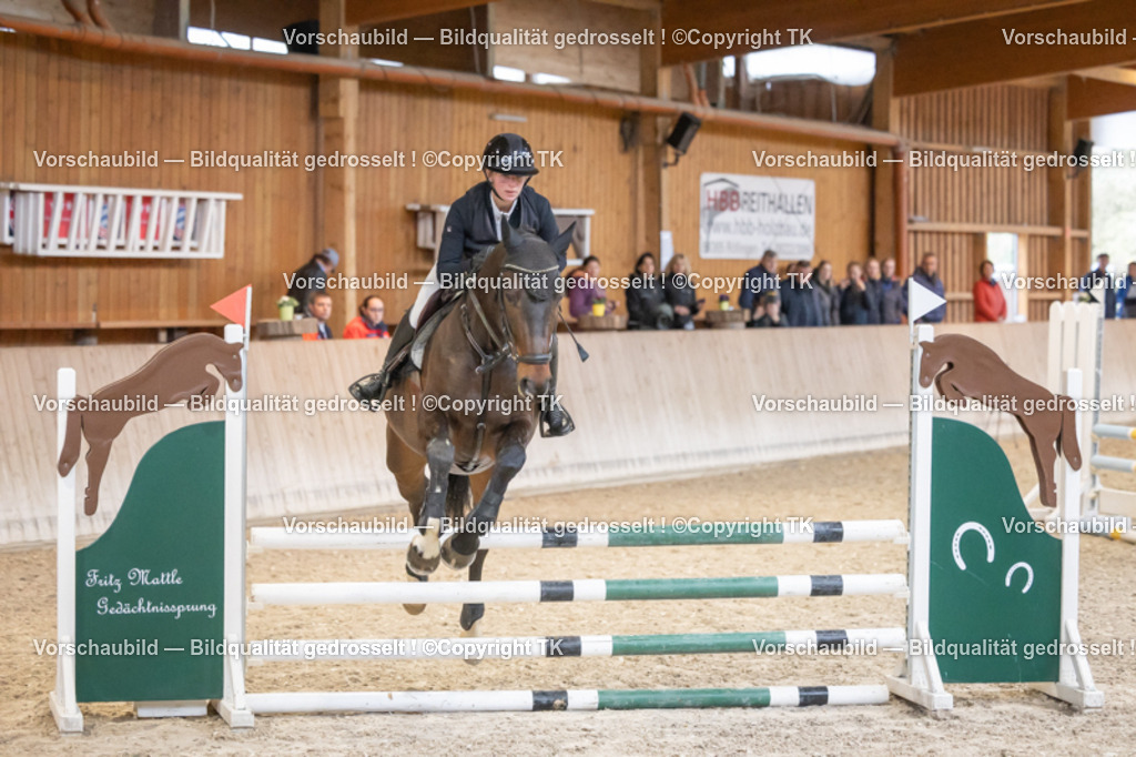 _D5A7041 | Emotionale Pferde- & People-Fotografie rund um Heidelberg, Leimen & Umgebung. Natürliche Fotos von Pferd, Mensch & Familie. Jetzt Termin sichern!