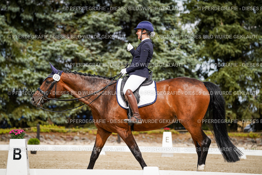 DSC05270 | Pferdegrafie