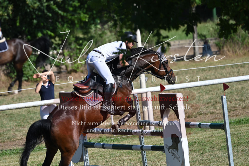 DSC_1950 | Pferde- und Turnierfotografie in Westsachsen. Pferdeportraits, Auftragszeichnungen und intuitive Kunst.