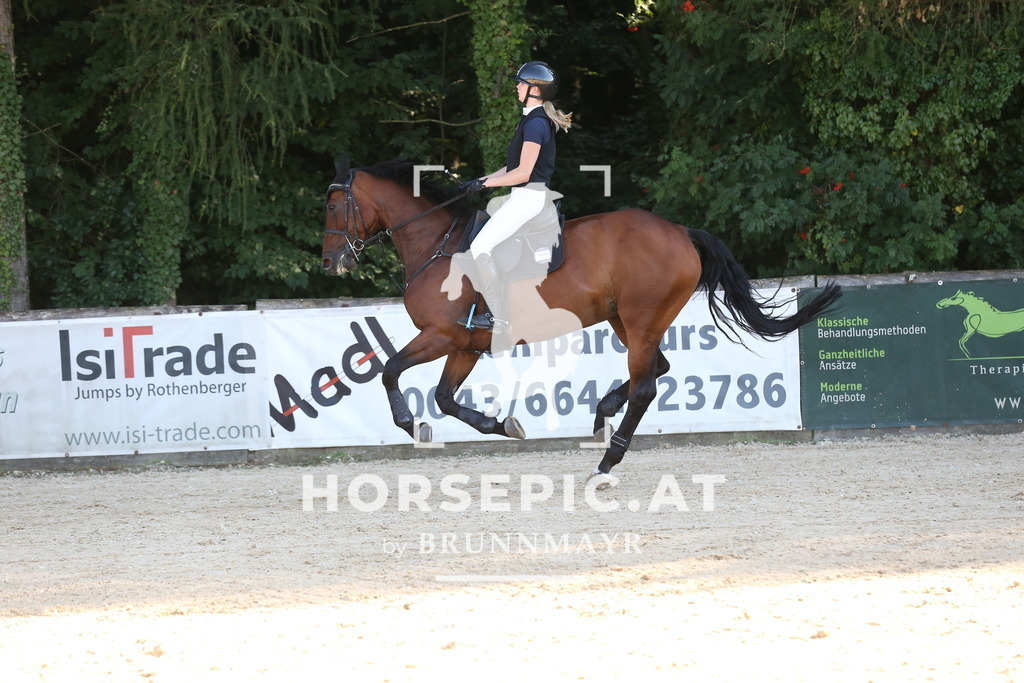 DL2Q0439 | Willkommen bei Brunnmayr - Design & Fotografie – Ihrem Spezialisten für Reitturniere und Pferdeveranstaltungen in Oberösterreich, Salzburg und Bayern! Seit über 17 Jahren sind wir leidenschaftlich dabei.
