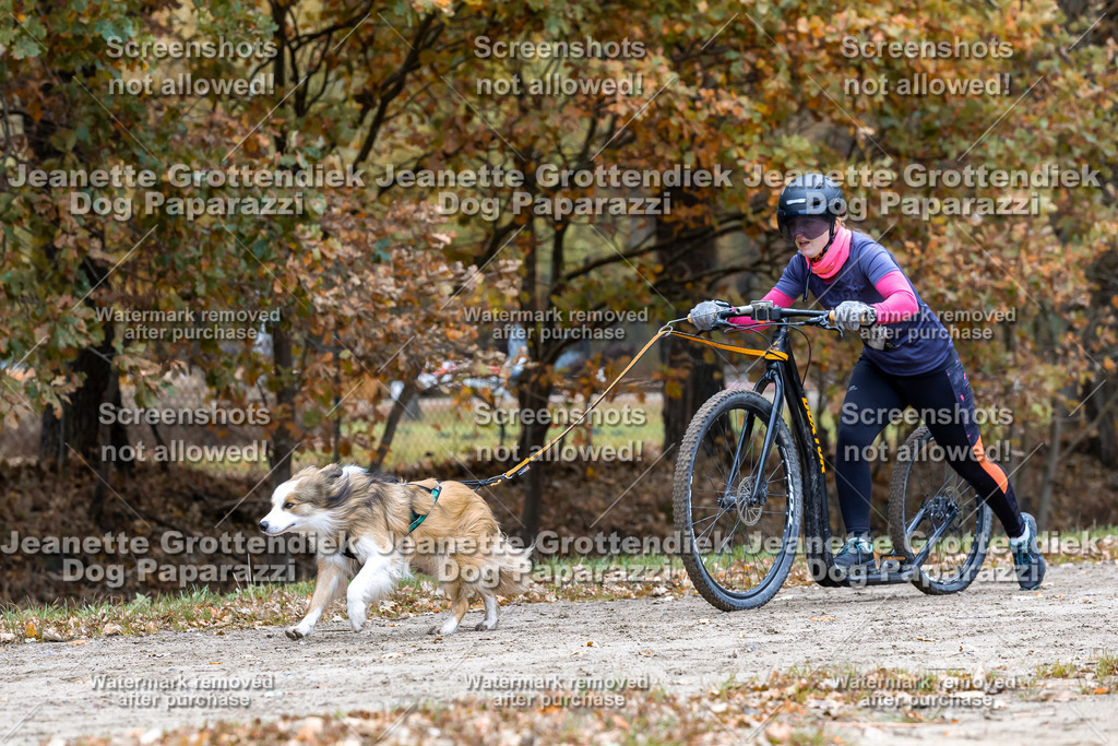 Dog Paparazzi - SD CaniX Championship 2025-573 | Dog Paparazzi Jeanette Grottendiek Fotografie & Videografie - Realisiert mit Pictrs.com