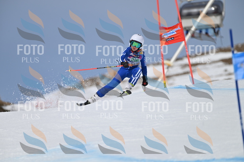 BGV_5899 | holidayphoto