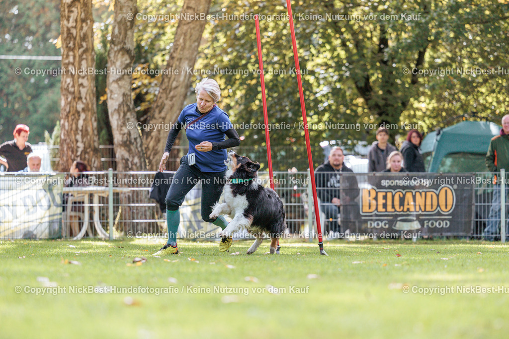 THS-HSV-Blumenthal-2026-Nickbest-Hundefotografie-2920 | Dein Hund! Dein Moment! Deine Erinnerungen! Hundefotografie in Bremen Blumenthal. Ich fange die besonderen Momente deines Vierbeiners ein – ob Indoor mit Blitzanlage oder in der freien Natur. Sicher dir dein Moment und dein Termin für eure Erinnerungen.