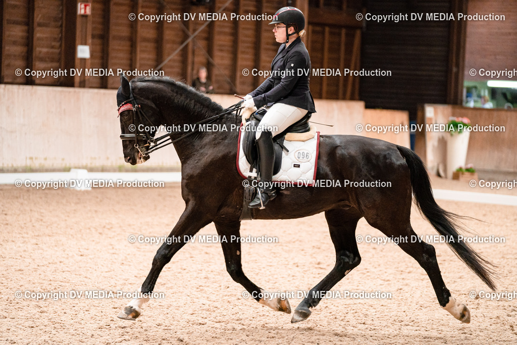 Dressur Tag 3-320 | dv-media-shop - Realisiert mit Pictrs.com