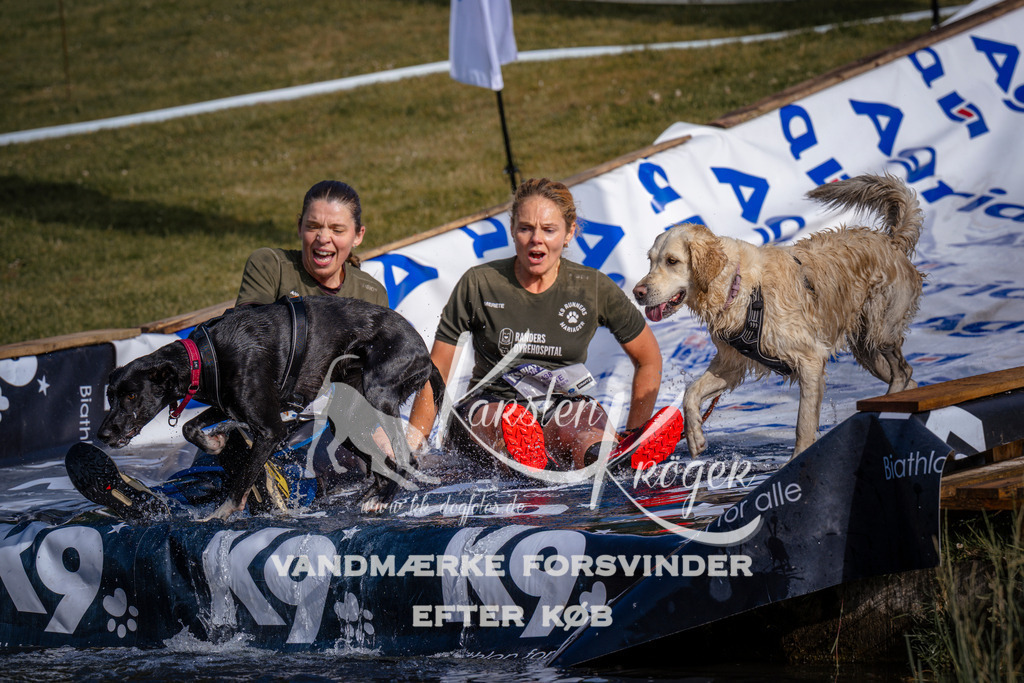 _ZZ948540720 | kk-dogfotos