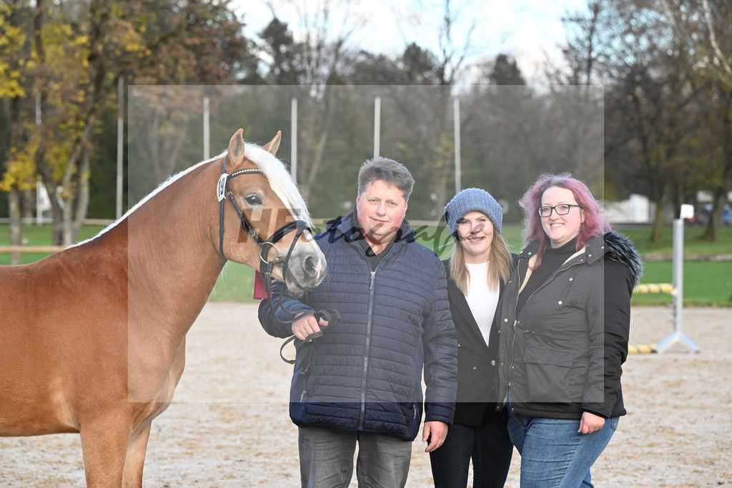 Kat-Nr. 19 Wintergold HK v. Winterball_Kiefer_60221767 | hf-fotografie - Realisiert mit Pictrs.com