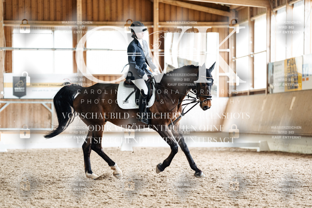 CK901768 | Turnierfotografie Pferdefotografie Trier Rheinland-Pfalz Pferdesport Reitsport Tierfotografie Sportfotografie Pferdevideo Pferdevideografie Equestrianvideography equestrianphotography  - Realisiert mit Pictrs.com