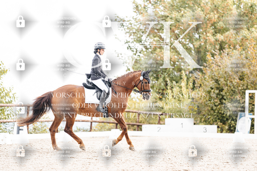CK900770 | Turnierfotografie Pferdefotografie Trier Rheinland-Pfalz Pferdesport Reitsport Tierfotografie Sportfotografie Pferdevideo Pferdevideografie Equestrianvideography equestrianphotography  - Realisiert mit Pictrs.com