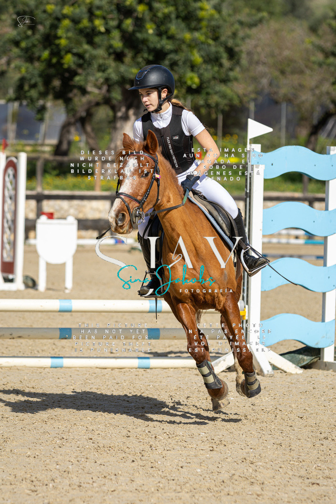 IMG_6062 | s-jay-photography - Realisiert mit Pictrs.com