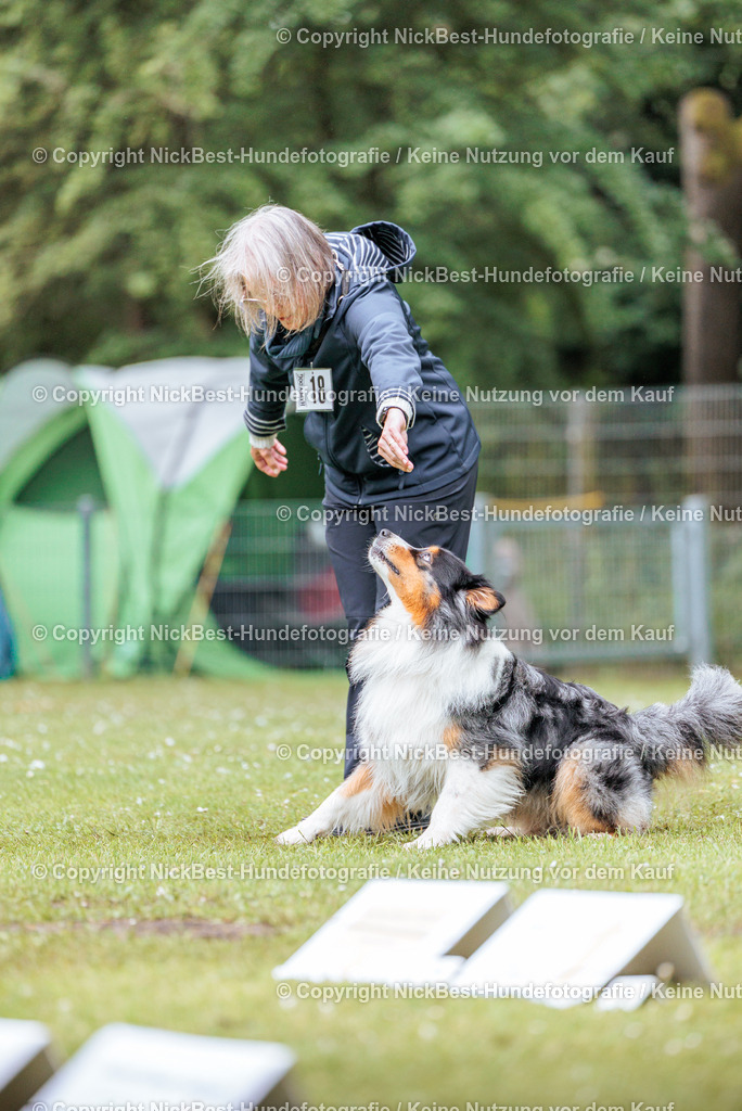 RO-Blumenthal-2026-Nickbest-Hundefotografie-4389 | Dein Hund! Dein Moment! Deine Erinnerungen! Hundefotografie in Bremen Blumenthal. Ich fange die besonderen Momente deines Vierbeiners ein – ob Indoor mit Blitzanlage oder in der freien Natur. Sicher dir dein Moment und dein Termin für eure Erinnerungen.