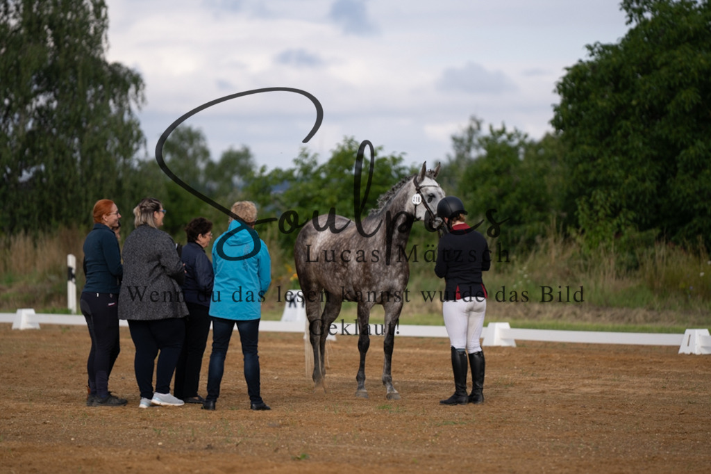 A7V03766 | Pferdefotograf