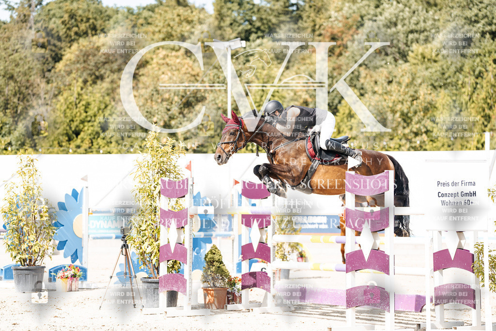 CK905307 | Turnierfotografie Pferdefotografie Trier Rheinland-Pfalz Pferdesport Reitsport Tierfotografie Sportfotografie Pferdevideo Pferdevideografie Equestrianvideography equestrianphotography  - Realisiert mit Pictrs.com