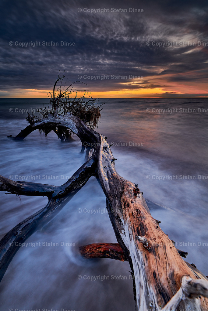Abend am Weststrand | Toter Baum wird nach dem Sonnenuntergang am Weststrand (Darß) vom Meer umspült. - Realisiert mit Pictrs.com