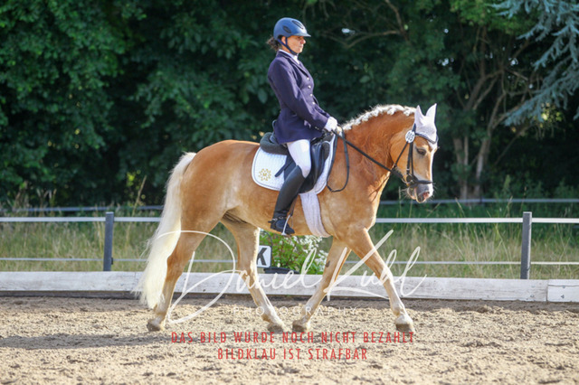 DKP45561 | Turniersportfotografie; Pferdefotografie; Dressurfotografie