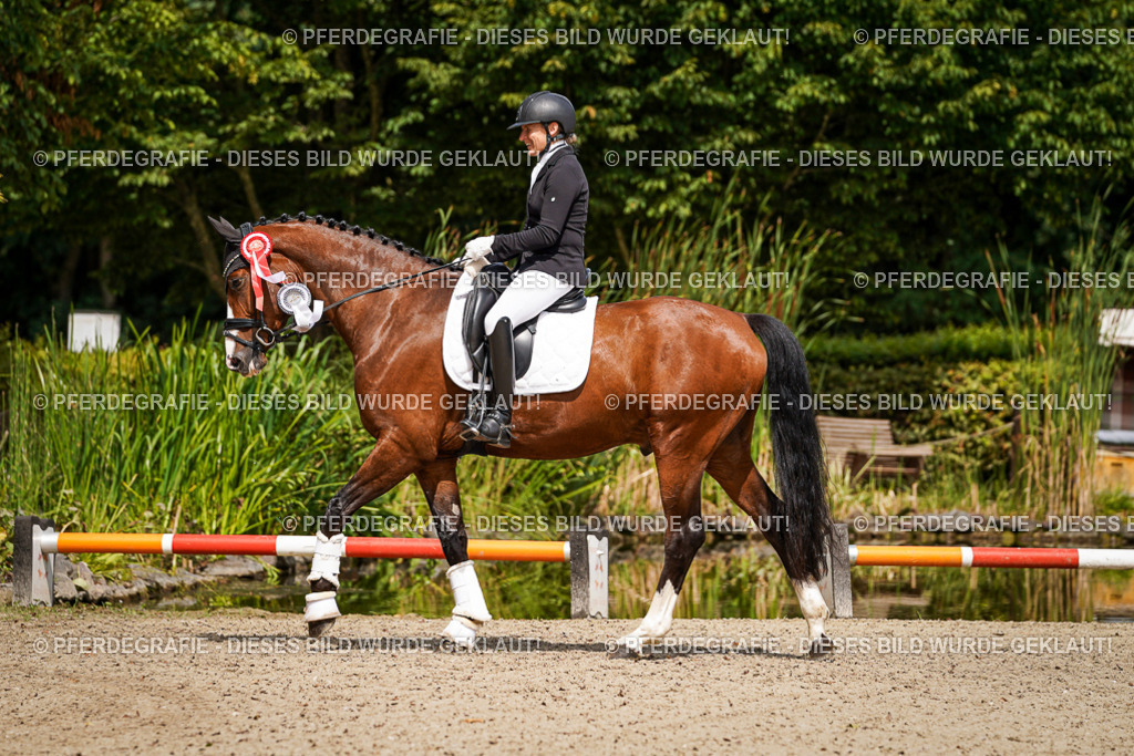 DSC09809 | Pferdegrafie