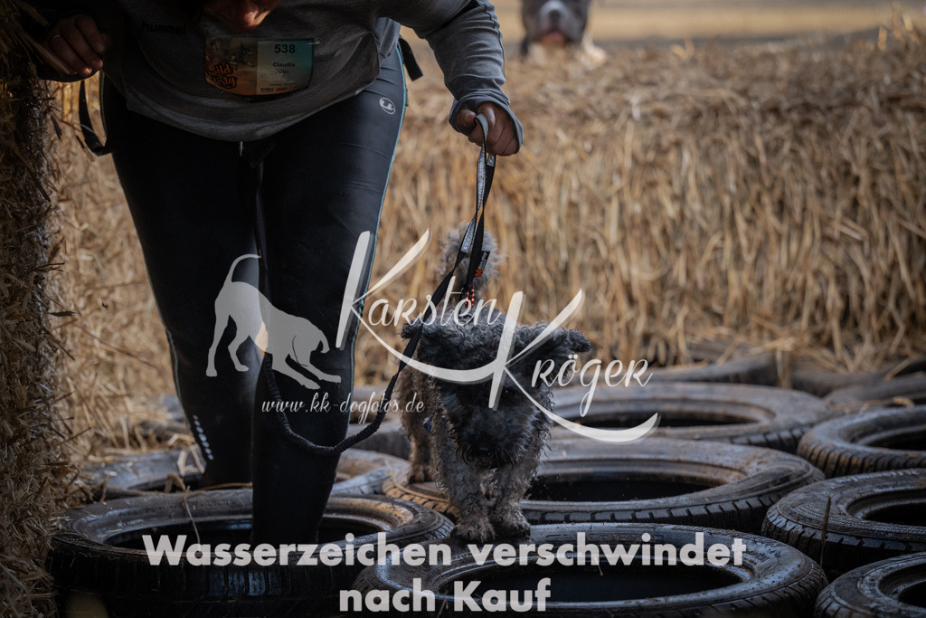 0956_ZZ95656 | kk-dogfotos