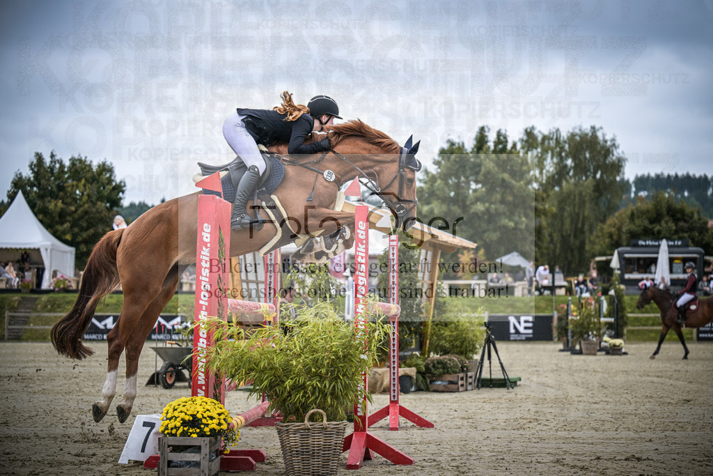 DOS_1995 | Entdecke hochwertige Reitturnierfotos von Foto Oger. Professionell, emotional und authentisch – jetzt Lieblingsmomente im Shop bestellen.Deutschlandweite Turnierfotografie. - Realisiert mit Pictrs.com