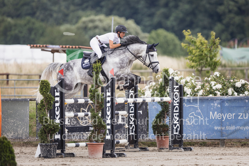 250628_PfSpTa_Youngster-M2-375 | Deine schönsten Turniermomente als professionelle Fotos! Entdecke hochwertige Pferdesport-Fotografie im Online-Shop. Jetzt Fotos finden & bestellen!