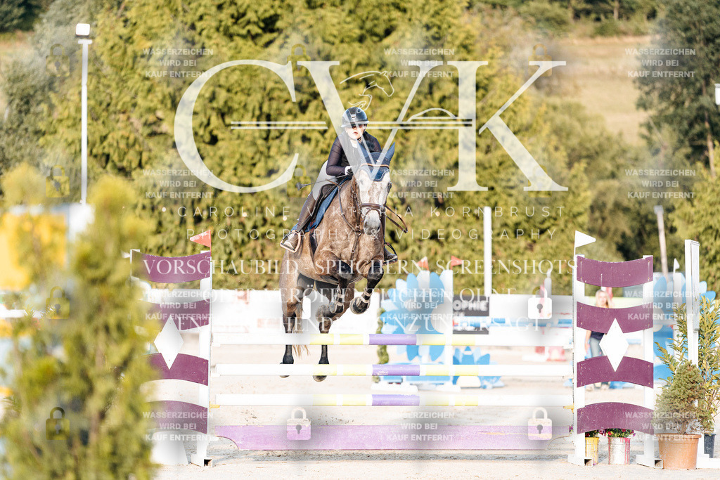 CK900889 | Turnierfotografie Pferdefotografie Trier Rheinland-Pfalz Pferdesport Reitsport Tierfotografie Sportfotografie Pferdevideo Pferdevideografie Equestrianvideography equestrianphotography  - Realisiert mit Pictrs.com