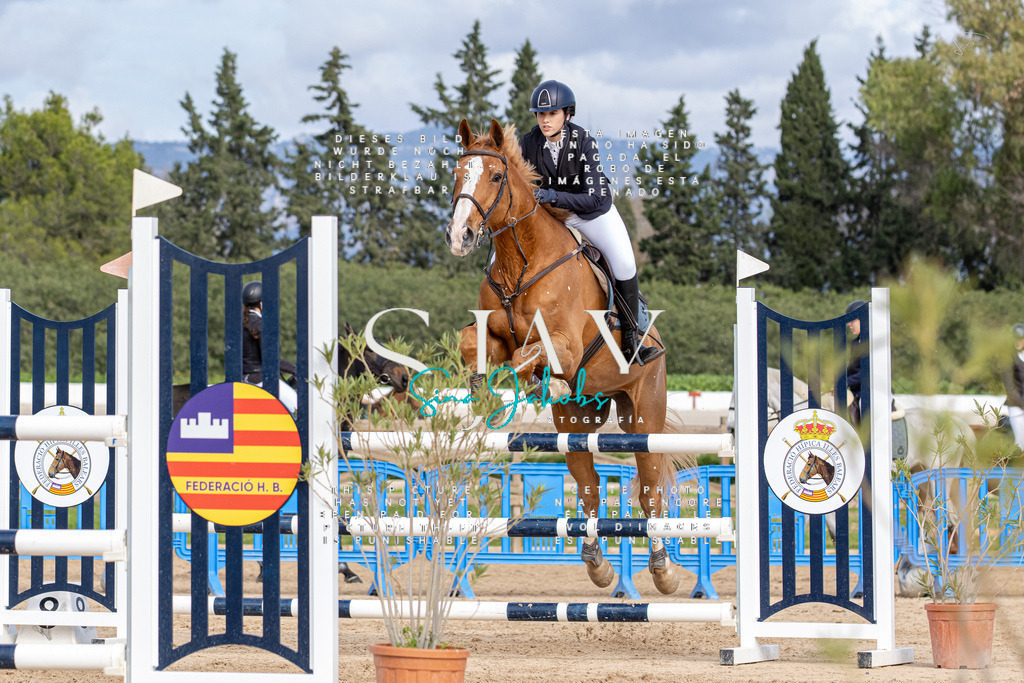 IMG_3200 | s-jay-photography - Realisiert mit Pictrs.com