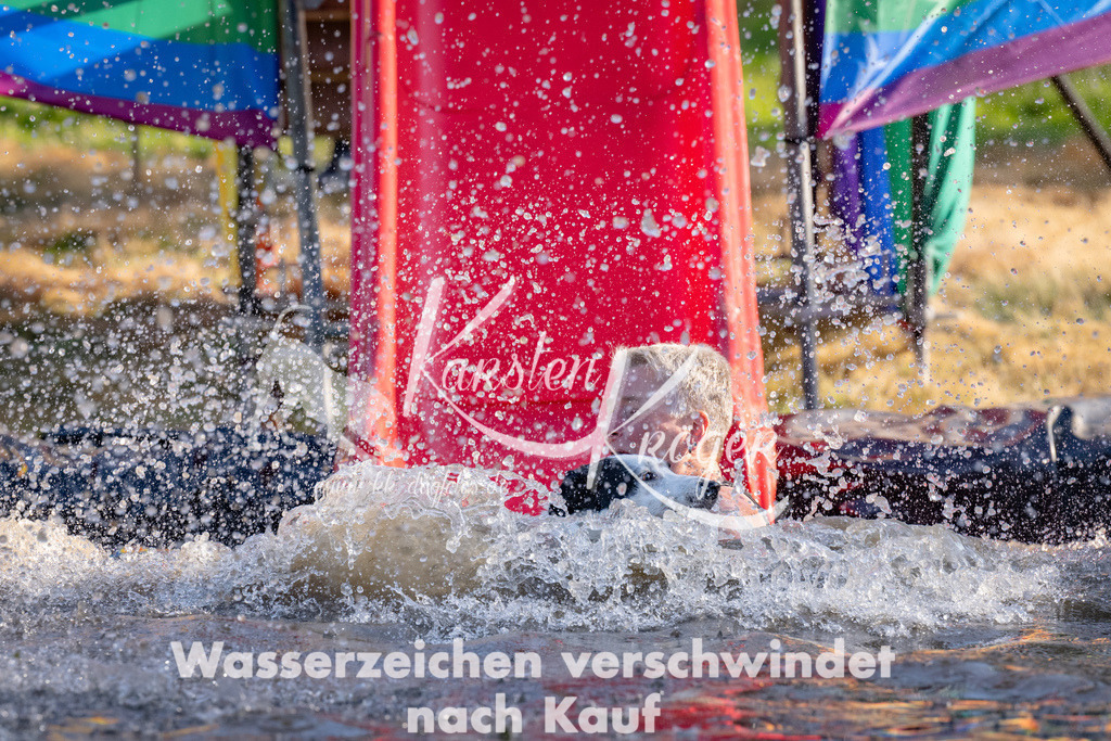 1749_ZZ92435 | kk-dogfotos