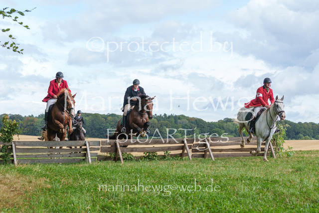 Jagd Knoop 26_MarinaHewigMCH02609 | Fotografie, FotoArt, PferdesportArt, Pferdesportfotografie, Landschaftsfotografie, Reisefotografie, Reise, Pferde - Realisiert mit Pictrs.com