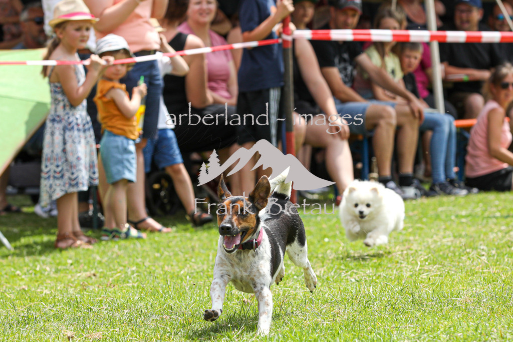 OE7A4399 | Beim Zugpferdetreffen in Poschedtsried galt es verschiedene Wettbewerbe zu meistern, Einzelrennen im Reiten, Traktorpulling und auch ein Hunderennen wurde veranstaltet