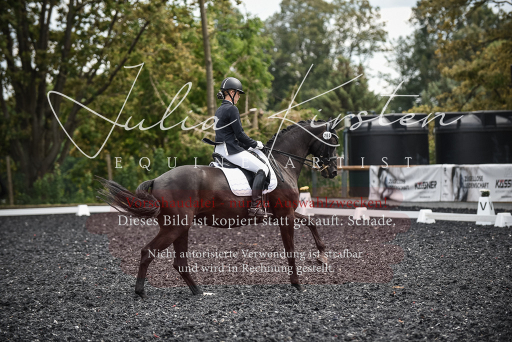 DSC_5075 | Pferde- und Turnierfotografie in Westsachsen. Pferdeportraits, Auftragszeichnungen und intuitive Kunst.