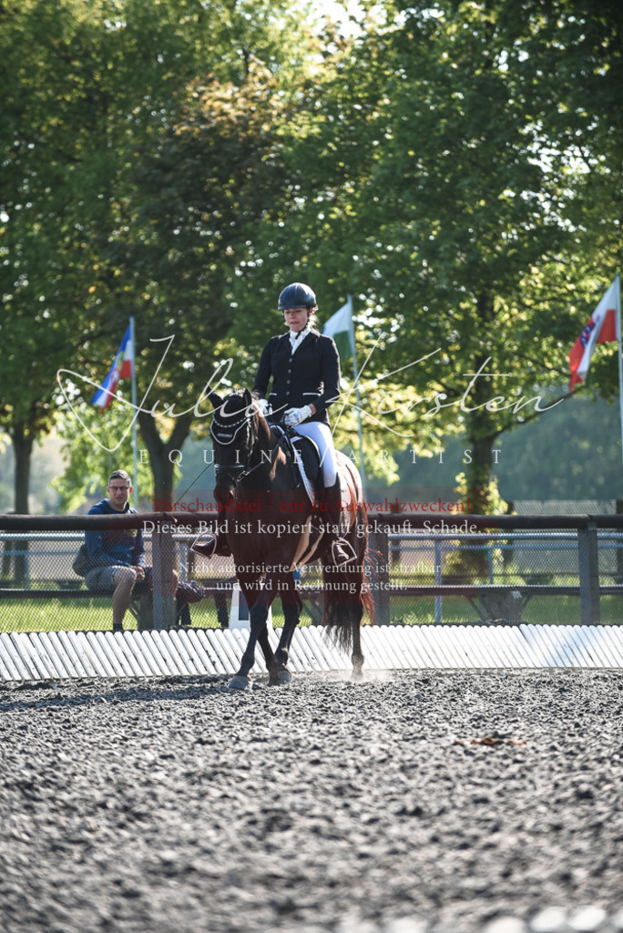 DSC_8366 | Pferde- und Turnierfotografie in Westsachsen. Pferdeportraits, Auftragszeichnungen und intuitive Kunst.