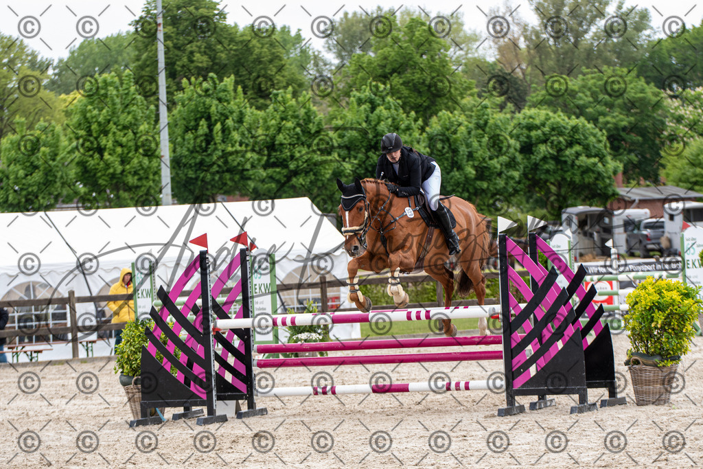 KPT_8746 | andre_photographic