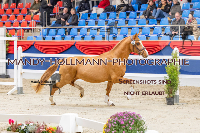 KWEDR (7 von 496) | mandyhollmannphotographie