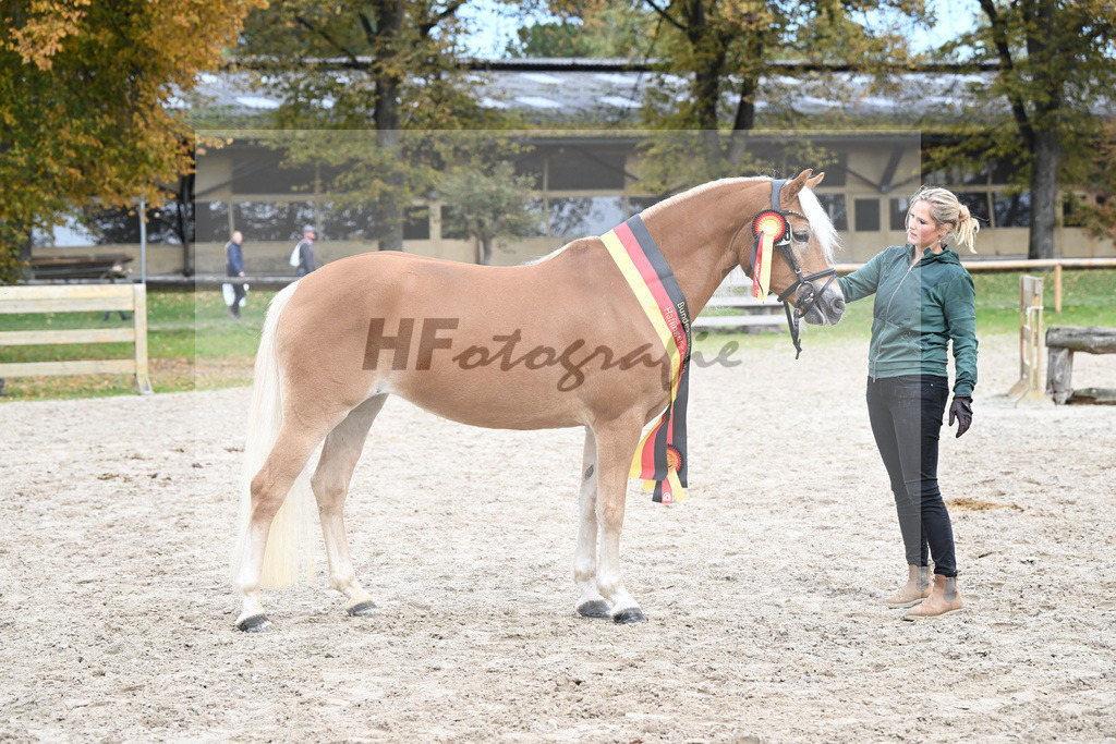 Kat-Nr. 259 Odette K_Kappelsberger_54223449 | hf-fotografie - Realisiert mit Pictrs.com