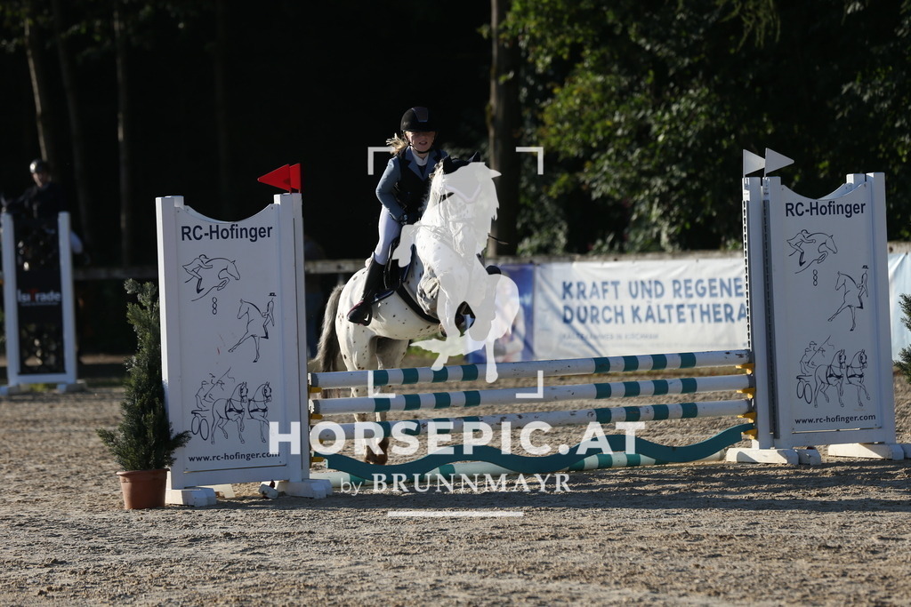 DL2Q7107 | Willkommen bei Brunnmayr - Design & Fotografie – Ihrem Spezialisten für Reitturniere und Pferdeveranstaltungen in Oberösterreich, Salzburg und Bayern! Seit über 17 Jahren sind wir leidenschaftlich dabei.