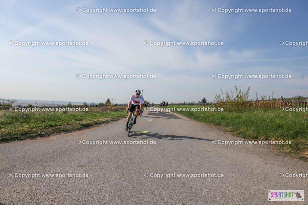 007A9015 | Neusiedlersee Radmarathon #neusiedlerseeradmarathon #neusiedlersee #nrm26 #yourpictrs #sportshot_your_pictrs