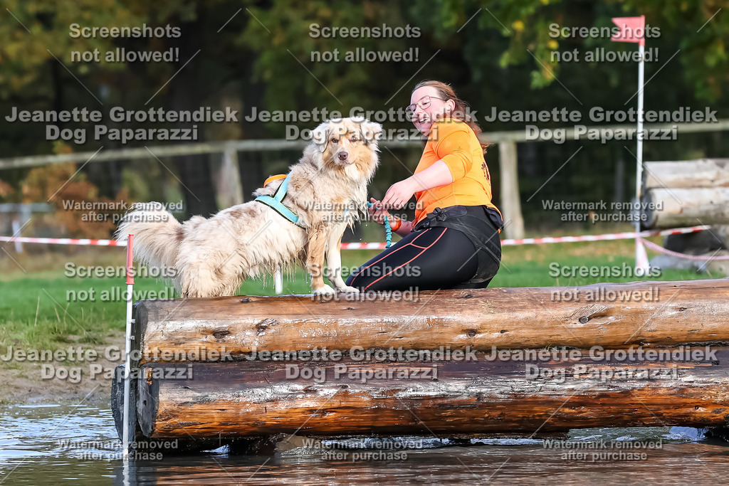 Dog Paparazzi - Strongdog 10-25-7024 | Dog Paparazzi Jeanette Grottendiek Fotografie & Videografie - Realisiert mit Pictrs.com