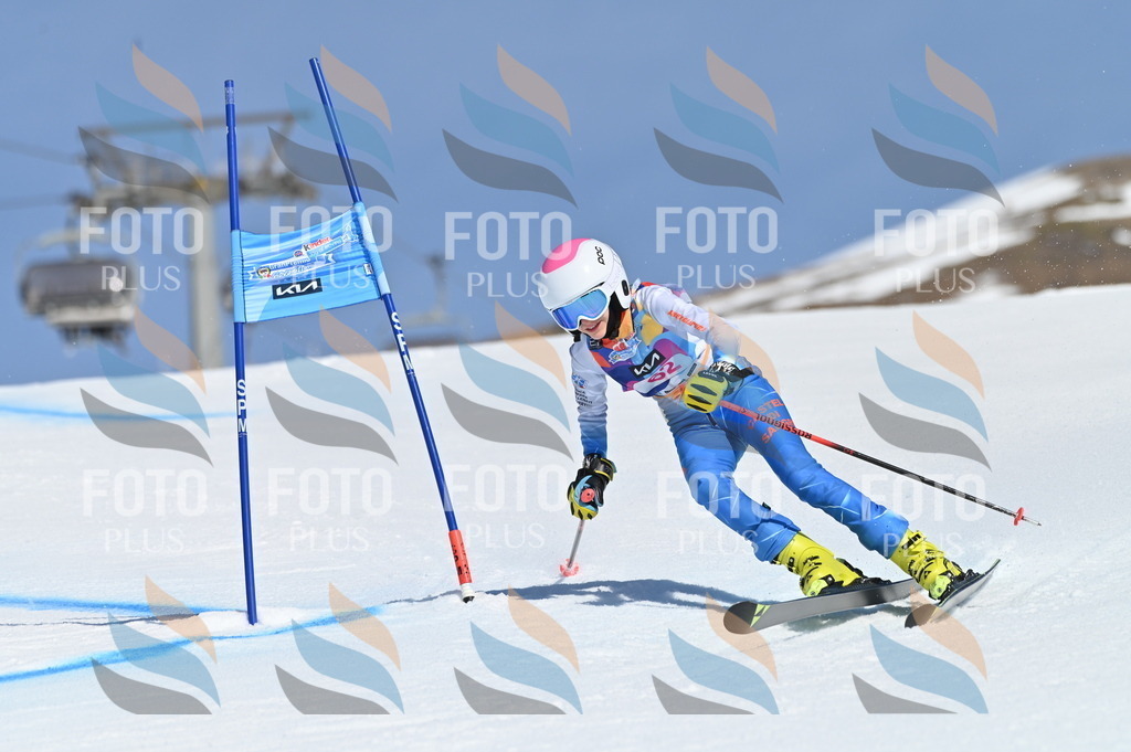 BGV_8766 | holidayphoto