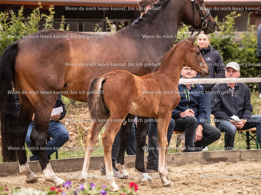 A10I6147 | photographylinaismer - Realisiert mit Pictrs.com