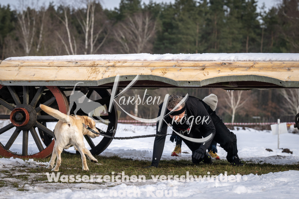 0843_ZZ92497-5 | kk-dogfotos