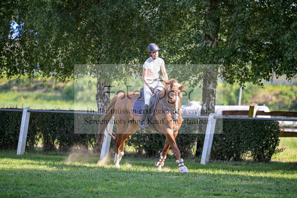 Reitturnier Voxtrup | Entdecke hochwertige Reitturnierfotos von Foto Oger. Professionell, emotional und authentisch – jetzt Lieblingsmomente im Shop bestellen. - Realisiert mit Pictrs.com