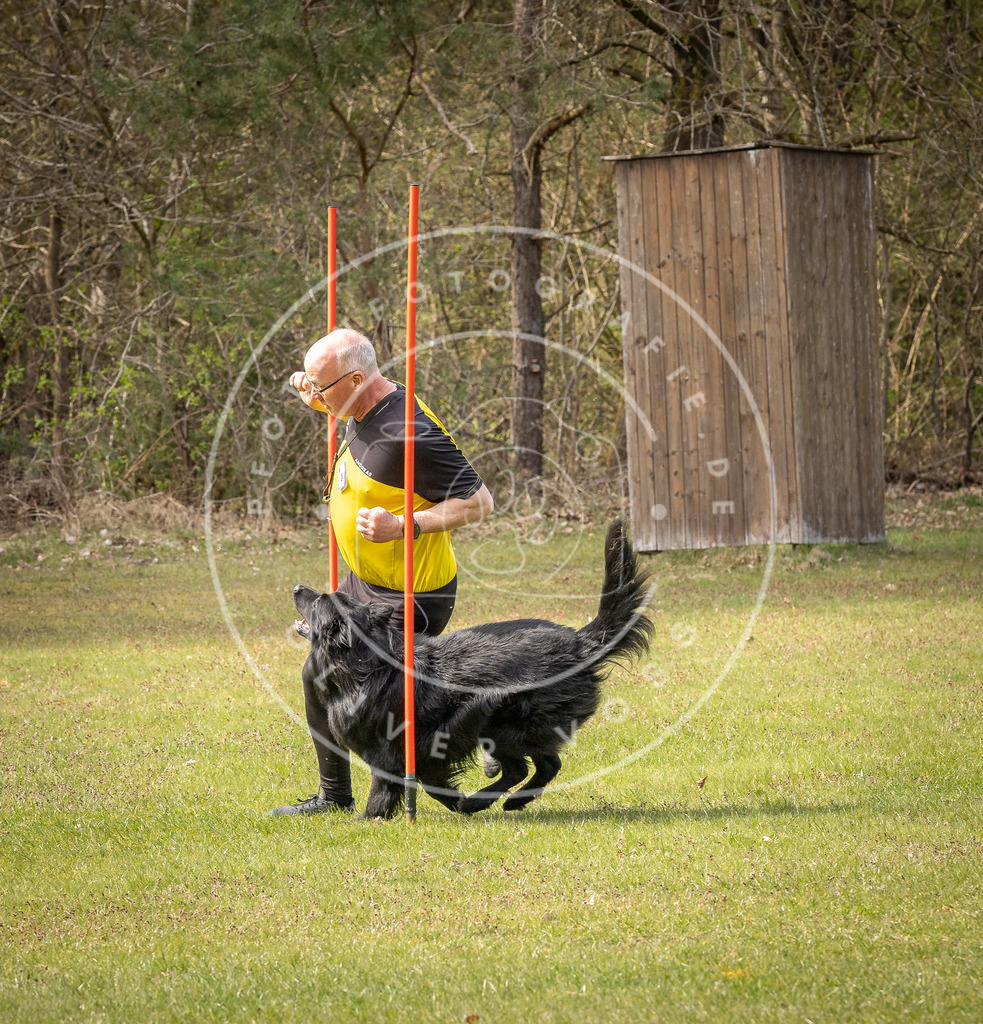 Pfotenfotografie_DV3A8181 | Hundefotografie, Tierfotograf, Pfotenfotografie, Fotoshooting Hund, Hunde Portrait, Hundesport, Hundeportraits, Heideshooting, Hunde, Sportfotograf, Hundefotograf, Turnierhundsport, THS,  - Realisiert mit Pictrs.com