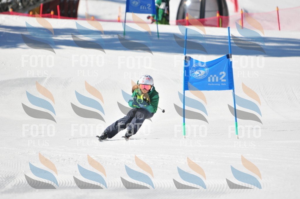 C3050 | holidayphoto