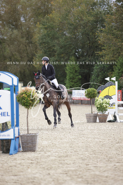 1J2A0612Nena Hopp_ Nobel Classic_ Kn794_ Havekost | Foto- und Videografie für alles rund ums Pferd. Hochwertige Bilder und Videos vom Spring- und Dressurreiten, Voltigieren & mehr. Jetzt aktuelle Veranstaltungen und Preise im Shop ansehen. - Realisiert mit Pictrs.com