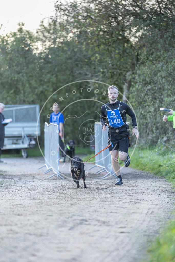 Pfotenfotografie.de_DV3A2828 | Hundefotografie, Tierfotograf, Pfotenfotografie, Fotoshooting Hund, Hunde Portrait, Hundesport, Hundeportraits, Heideshooting, Hunde, Sportfotograf, Hundefotograf, Turnierhundsport, THS, canicross - Realisiert mit Pictrs.com