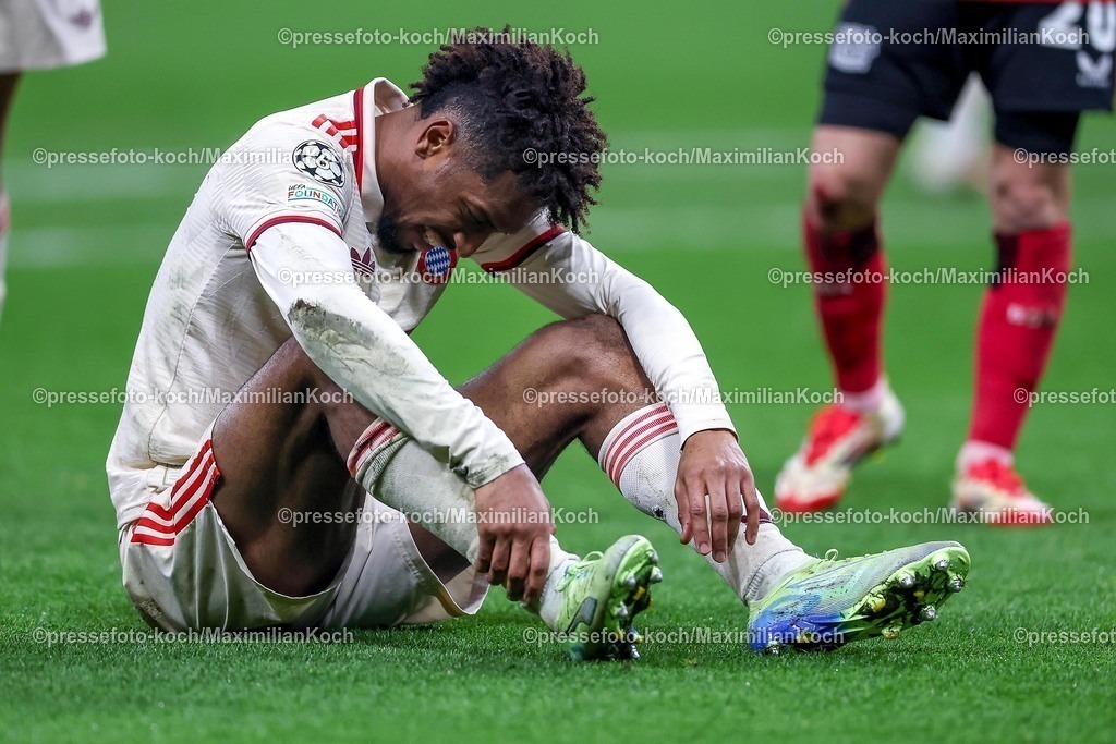 UCL11032501060 | 11.03.2025, Fußball, UEFA Champions League, Bayer 04 Leverkusen - FC Bayern München, Achtelfinale Rückspiel, BayArena, Saison 2024 2025: Kingsley Coman (FC Bayern #11) liegt verletzt auf dem Spielfeld und muss mit Schmerzen ausgewechselt werden Verletzung KnöchelDFB regulations prohibit any use of photographs as image sequences and or quasi-video.