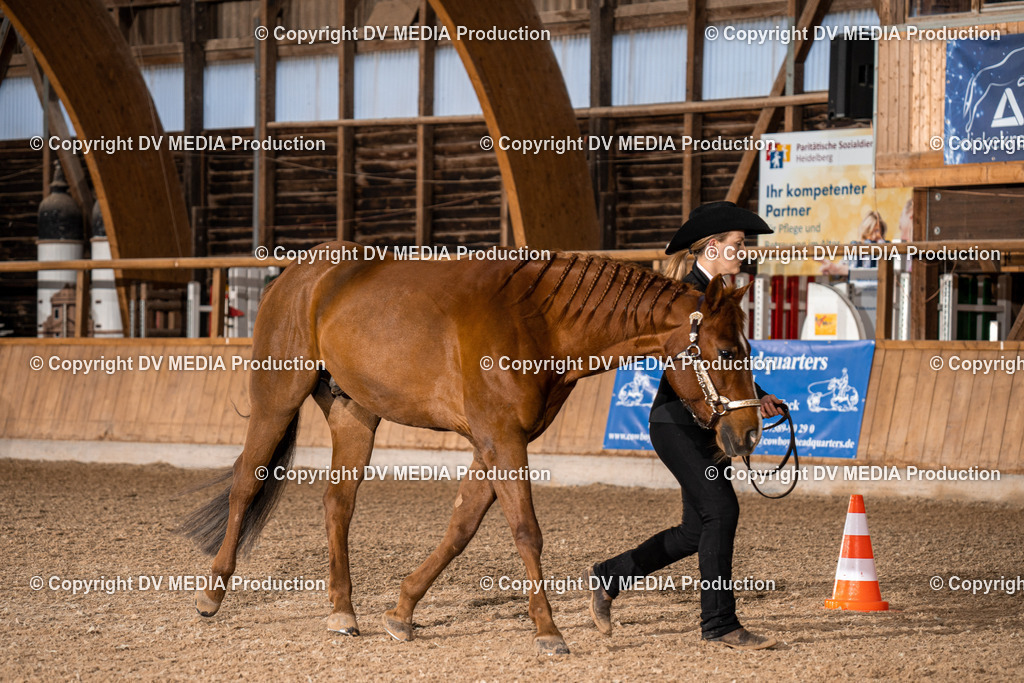 Heidelberg Tag 2-11 | dv-media-shop - Realisiert mit Pictrs.com