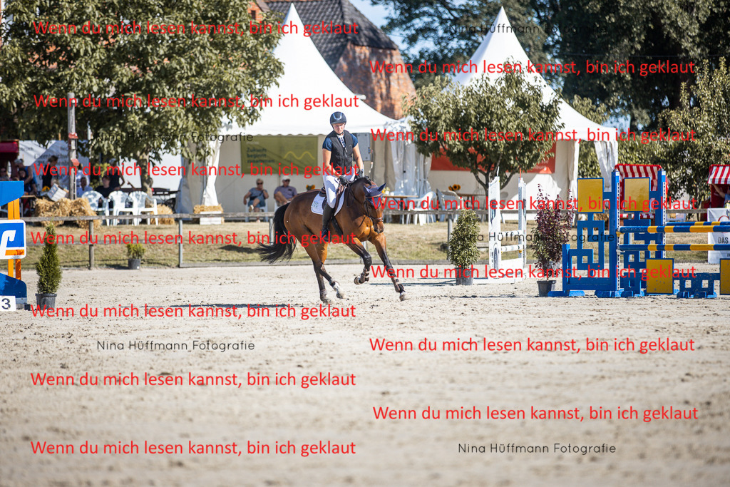 BK1A7172 | Turnierbilder Turnierfotos Nina Hüffmann Turnierfotografie Pferdefotografie Tierzeichnung Haustierzeichnung Pferdezeichnung Hundezeichnung Videograf  - Realisiert mit Pictrs.com